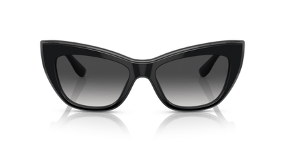 Black/Transparent Grey - 0DG4417 8056597757386