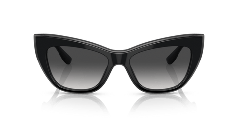 Black/Transparent Grey - 0DG4417 8056597757386