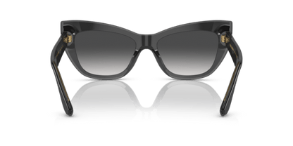 Black/Transparent Grey - 0DG4417 8056597757386