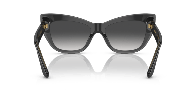 Black/Transparent Grey - 0DG4417 8056597757386