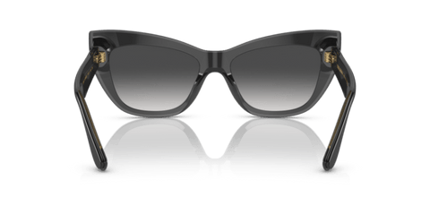 Black/Transparent Grey - 0DG4417 8056597757386