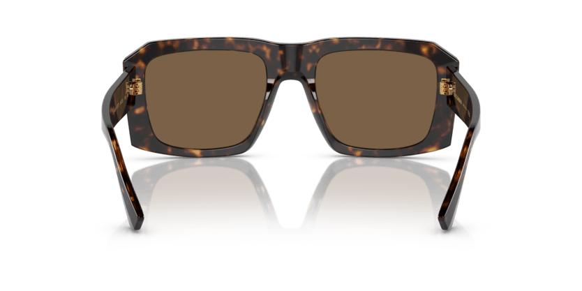 0DG4430 - Dolce & Gabbana - (Havana) Dark Brown - 54 - 20 - 145 MM - Ardor Eyewear 8056597839532