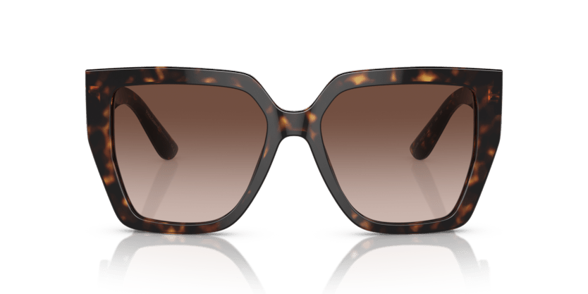 0DG4438 - Dolce & Gabbana - (Havana) Gradient Brown - 55 - 17 - 145 MM - Ardor Eyewear 8056597844536