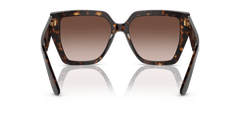 0DG4438 - Dolce & Gabbana - (Havana) Gradient Brown - 55 - 17 - 145 MM - Ardor Eyewear 8056597844536