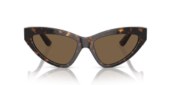 0DG4439 - Dolce & Gabbana - (Havana) Dark Brown - 55 - 18 - 145 MM - Ardor Eyewear 8056597844659