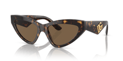 0DG4439 - Dolce & Gabbana - (Havana) Dark Brown - 55 - 18 - 145 MM - Ardor Eyewear 8056597844659