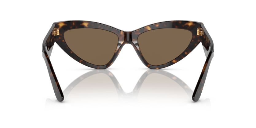 0DG4439 - Dolce & Gabbana - (Havana) Dark Brown - 55 - 18 - 145 MM - Ardor Eyewear 8056597844659