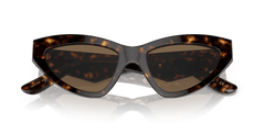 0DG4439 - Dolce & Gabbana - (Havana) Dark Brown - 55 - 18 - 145 MM - Ardor Eyewear 8056597844659