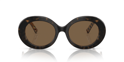 Havana On White Barrow - 0DG4448 8056597947626