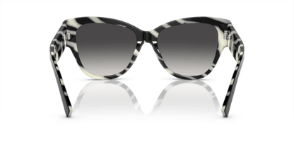 Black On Zebra - 0DG4449 8056597947848