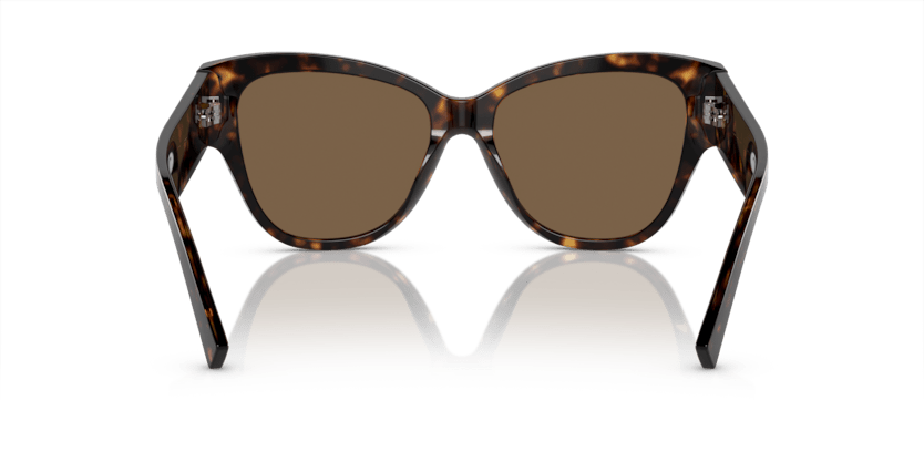 0DG4449 - Dolce & Gabbana - (Havana) Dark Brown - 54 - 16 - 145 MM - Ardor Eyewear 8056597947862