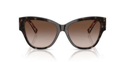 Havana On White Barrow - 0DG4449 8056262302668