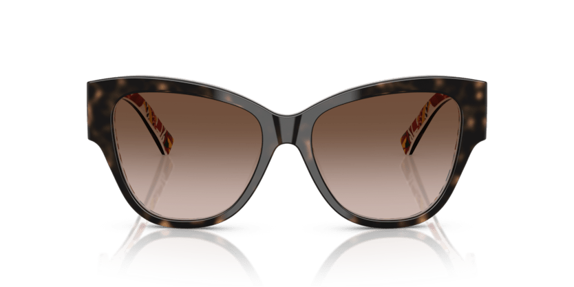 0DG4449 - Dolce & Gabbana - (Havana On White Barrow) Brown Gradient - 54 - 16 - 145 MM - Ardor Eyewear 8056262302668