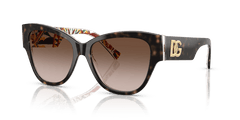 0DG4449 - Dolce & Gabbana - (Havana On White Barrow) Brown Gradient - 54 - 16 - 145 MM - Ardor Eyewear 8056262302668