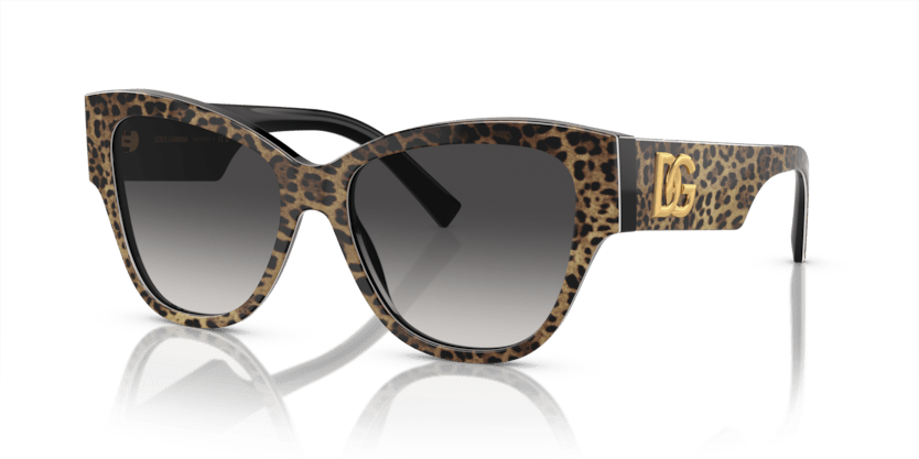 0DG4449 - Dolce & Gabbana - (Leo Brown On Black) Grey Gradient - 54 - 16 - 145 MM - Ardor Eyewear 8056597947824