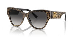 0DG4449 - Dolce & Gabbana - (Leo Brown On Black) Grey Gradient - 54 - 16 - 145 MM - Ardor Eyewear 8056597947824