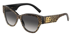 0DG4449 - Dolce & Gabbana - (Leo Brown On Black) Grey Gradient - 54 - 16 - 145 MM - Ardor Eyewear 8056597947824