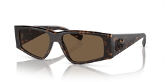 0DG4453 - Dolce & Gabbana - (Havana) Dark Brown - 55 - 16 - 145 MM - Ardor Eyewear 8056597950749