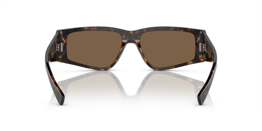 0DG4453 - Dolce & Gabbana - (Havana) Dark Brown - 55 - 16 - 145 MM - Ardor Eyewear 8056597950749