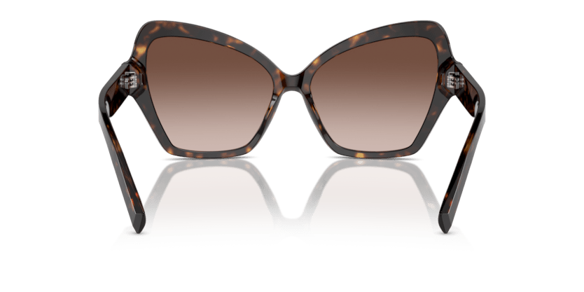 0DG4463 - Dolce & Gabbana - (Havana) Gradient Brown - 56 - 15 - 145 MM - Ardor Eyewear 8056262058596