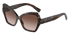 0DG4463 - Dolce & Gabbana - (Havana) Gradient Brown - 56 - 15 - 145 MM - Ardor Eyewear 8056262058596