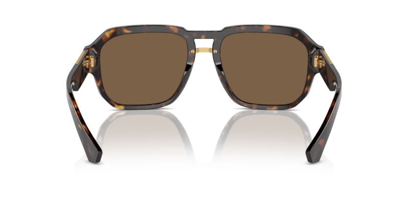 0DG4464 - Dolce & Gabbana - (Havana) Dark Brown - 56 - 19 - 145 MM - Ardor Eyewear 8056262052372