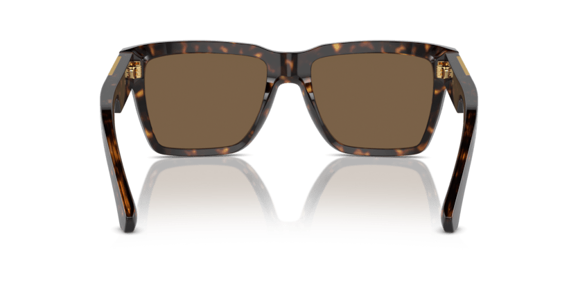 0DG4465 - Dolce & Gabbana - (Havana) Dark Brown - 55 - 18 - 145 MM - Ardor Eyewear 8056262052051