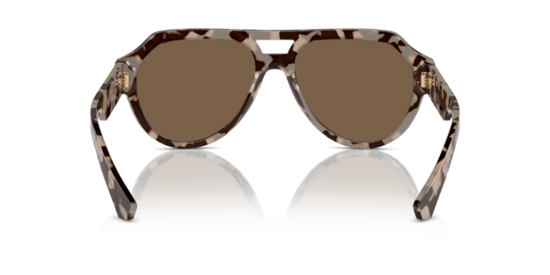 Havana Beige - 0DG4466 8056262052464