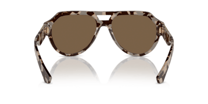 Havana Beige - 0DG4466 8056262052464