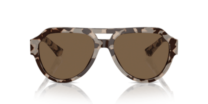 Havana Beige - 0DG4466 8056262052464