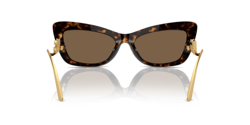 0DG4467B - Dolce & Gabbana - (Havana) Dark Brown - 55 - 18 - 145 MM - Ardor Eyewear 8056262082621