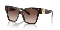 0DG4470 - Dolce & Gabbana - (Havana) Brown Gradient - 54 - 17 - 145 MM - Ardor Eyewear 8056262083260