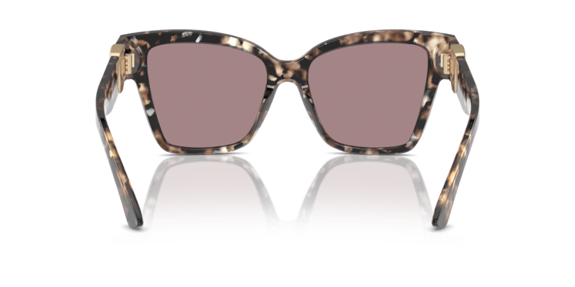 0DG4470 - Dolce & Gabbana - (Havana Brown Pearl) Light Purple Brown - 54 - 17 - 145 MM - Ardor Eyewear 8056262083239