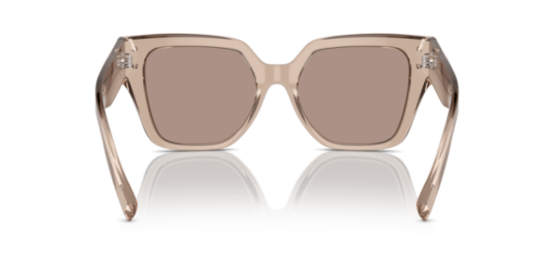 Transparent Camel - 0DG4471 8056262061909