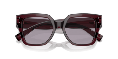 Transparent Violet - 0DG4471 8056262061923