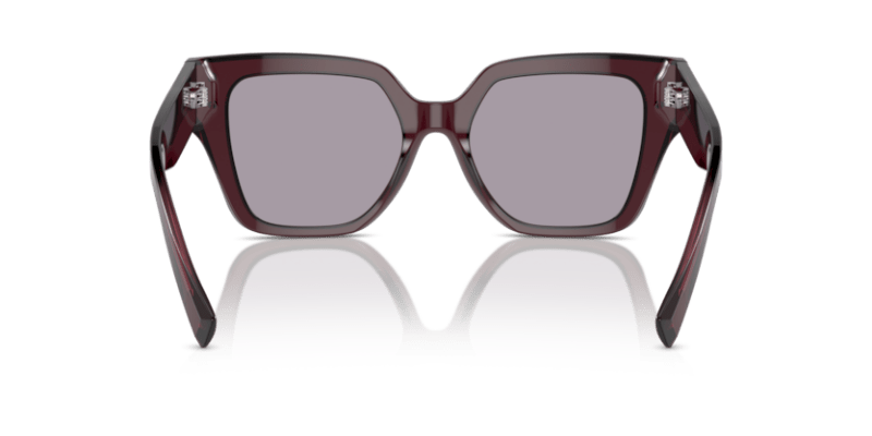 Transparent Violet - 0DG4471 8056262061923