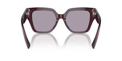 Transparent Violet - 0DG4471 8056262061923