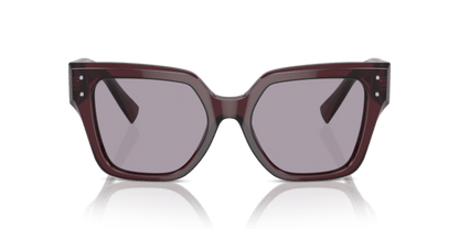 Transparent Violet - 0DG4471 8056262061923