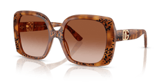 0DG4475 - Dolce & Gabbana - (Havana Leo) Brown Gradient - 56 - 19 - 145 MM - Ardor Eyewear 8056262247501