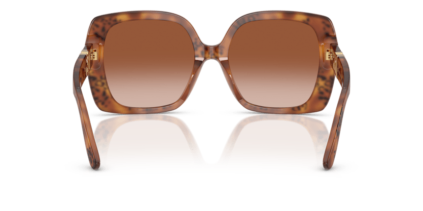 0DG4475 - Dolce & Gabbana - (Havana Leo) Brown Gradient - 56 - 19 - 145 MM - Ardor Eyewear 8056262247501