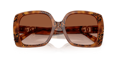 0DG4475 - Dolce & Gabbana - (Havana Leo) Brown Gradient - 56 - 19 - 145 MM - Ardor Eyewear 8056262247501