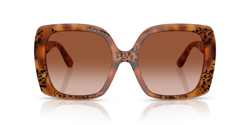 0DG4475 - Dolce & Gabbana - (Havana Leo) Brown Gradient - 56 - 19 - 145 MM - Ardor Eyewear 8056262247501