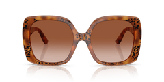 0DG4475 - Dolce & Gabbana - (Havana Leo) Brown Gradient - 56 - 19 - 145 MM - Ardor Eyewear 8056262247501