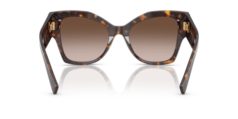 0DG4478 - Dolce & Gabbana - (Havana) Gradient Brown - 53 - 20 - 140 MM - Ardor Eyewear 8056262243404