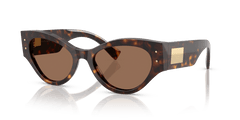 0DG4480 - Dolce & Gabbana - (Havana) Dark Brown - 53 - 19 - 140 MM - Ardor Eyewear 8056262244395