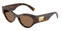 0DG4480 - Dolce & Gabbana - (Havana) Dark Brown - 53 - 19 - 140 MM - Ardor Eyewear 8056262244395