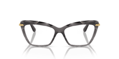 0DG5025 - Dolce & Gabbana - Grey - (Transparent Grey 504) - 53 - 15 - 140 MM - Ardor Eyewear 8053672777857