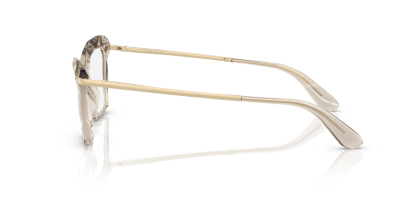 Transparent Camel - 0DG5025 8056262301388