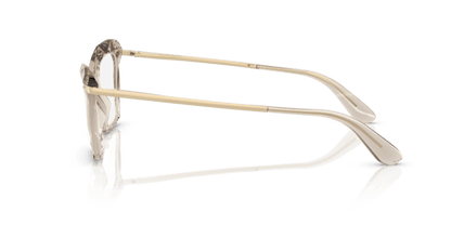 Transparent Camel - 0DG5025 8056262301388