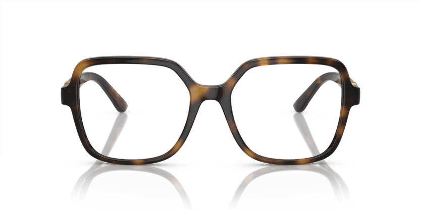 0DG5105U - Dolce & Gabbana - Tortoise - (Havana 502) - 53 - 18 - 145 MM - Ardor Eyewear 8056597949422